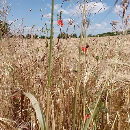 Schoene Fuer Naturliebhaber * Jabel