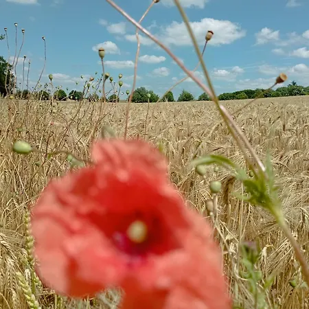 Schoene Fuer Naturliebhaber * Jabel