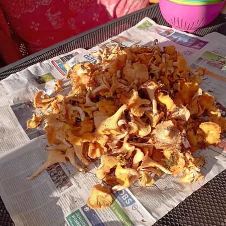 Schoene Fuer Naturliebhaber * Jabel