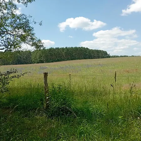 Schoene Fuer Naturliebhaber Appartement