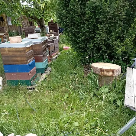 Appartement Schoene Fuer Naturliebhaber
