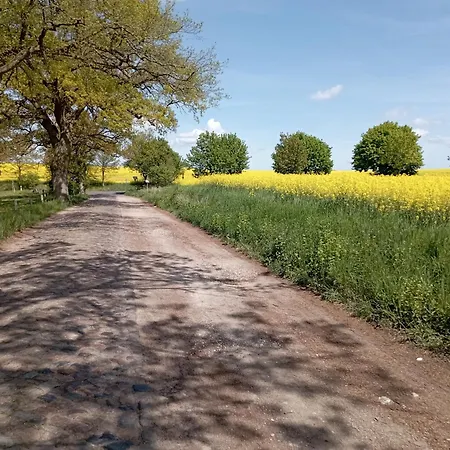 Schoene Fuer Naturliebhaber Appartement Jabel